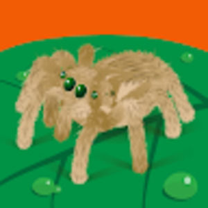 Meet your Posher, Lilly